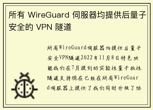 所有 WireGuard 伺服器均提供后量子安全的 VPN 隧道 